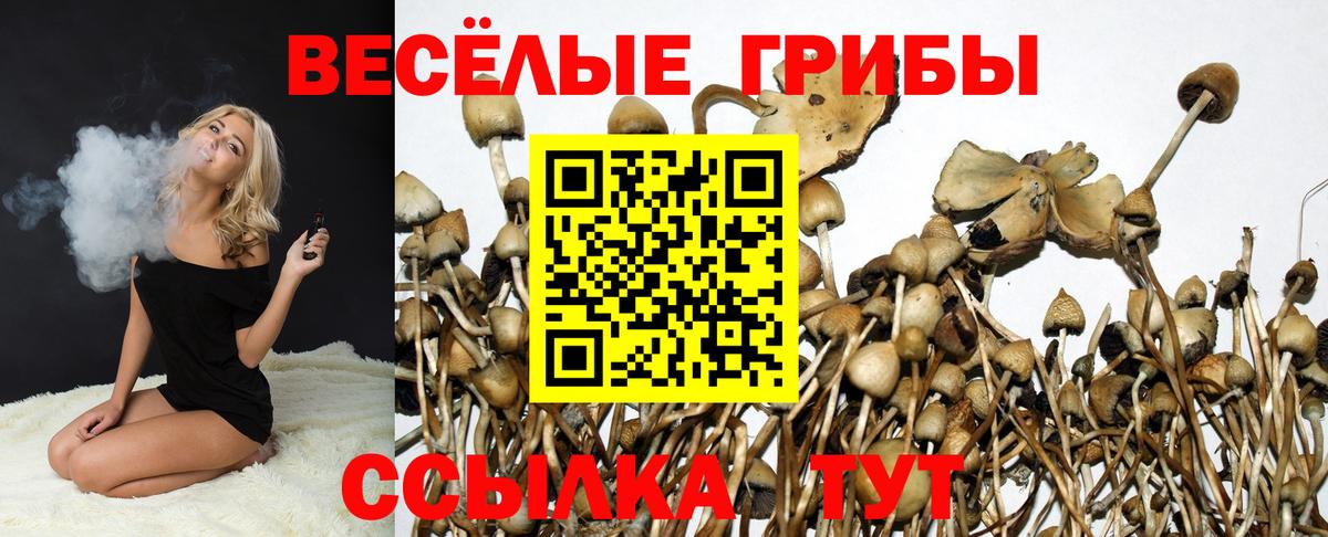 Биробиджан  Галлюциногенные грибы мицелий  Галлюциногенные грибы ЛСД  Вход с VPN 